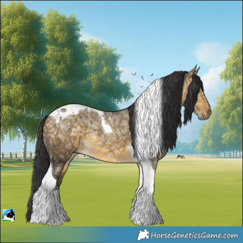 Horse Color:Buckskin Ice Dun Tobiano Rabicano