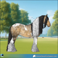 Horse Color:Buckskin Ice Dun Tobiano Rabicano