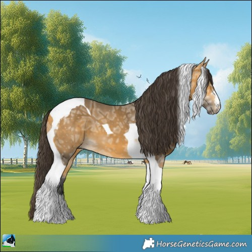 Horse Color:Buckskin Ice Tobiano 