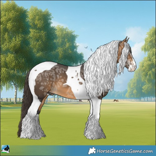 Horse Color:Buckskin Ice Sabino Tobiano 
