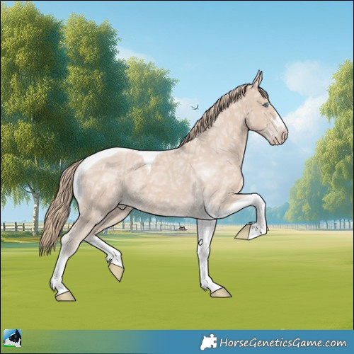 Horse Color:Smoky Creme Ice Tobiano Rabicano 