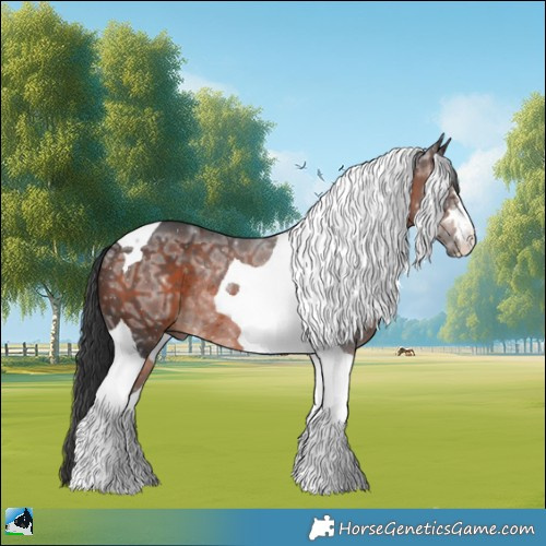 Horse Color:Brown Ice Tobiano Rabicano 