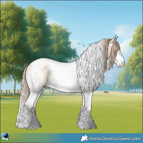 Horse Color:Perlino Sabino Tobiano Rabicano 