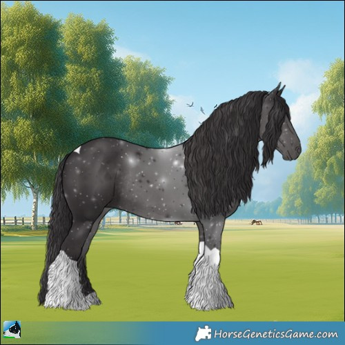 Horse Color:Smoky Black Tobiano Rabicano 