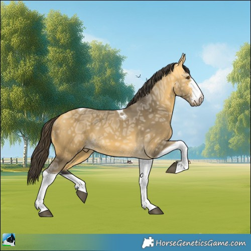 Horse Color:Buckskin Ice Mushroom Sabino Tobiano 