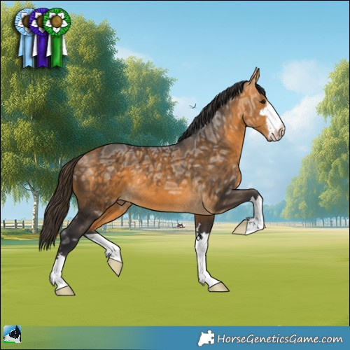 Horse Color:Buckskin Ice 