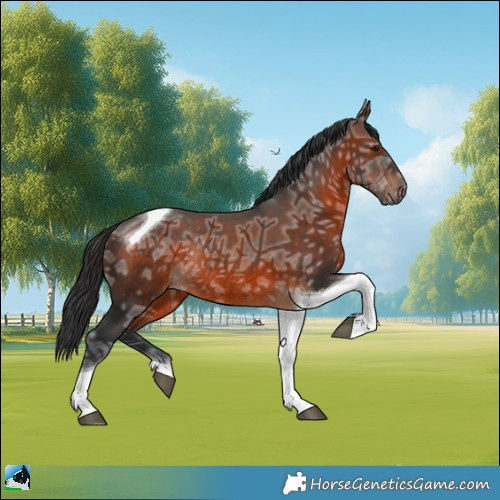Horse Color:Brown Ice Mushroom Tobiano Rabicano 