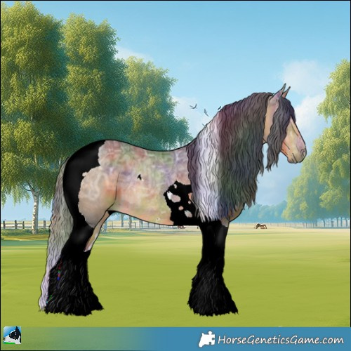 Horse Color:Nacre Buckskin Ice Tobiano Rabicano 