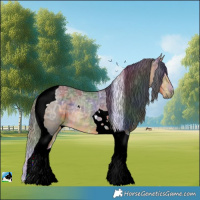 Horse Color:Nacre Buckskin Ice Tobiano Rabicano 