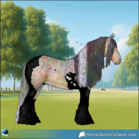 Horse Color:Nacre Buckskin Ice Tobiano Rabicano