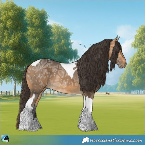 Horse Color:Buckskin Ice Tobiano Rabicano