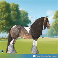 Horse Color:Buckskin Ice Tobiano Rabicano