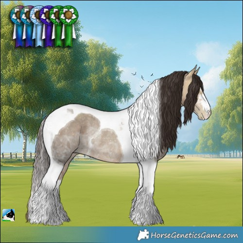 Horse Color:Amber Champagne Ice Tobiano Rabicano 