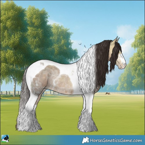 Horse Color:Amber Champagne Ice Tobiano Rabicano 