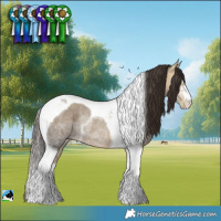 Horse Color:Amber Champagne Ice Tobiano Rabicano 