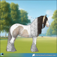 Horse Color:Amber Champagne Ice Tobiano Rabicano 