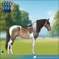 Horse Color:Bay Tobiano Rabicano 