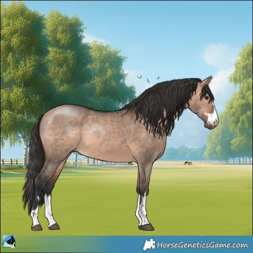 Horse Color:Bay Dun Mushroom Rabicano 