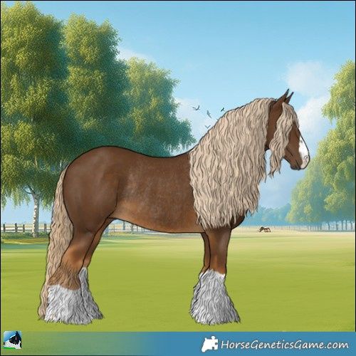 Horse Color:Chocolate Palomino Rabicano 
