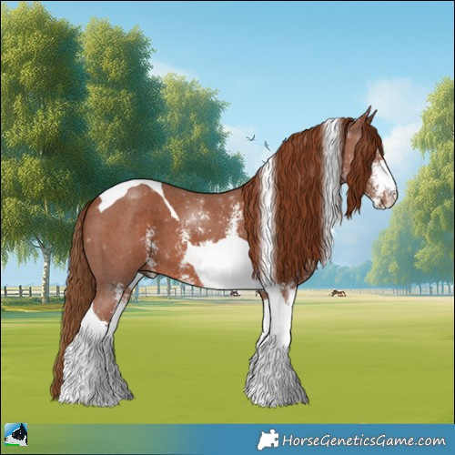 Horse Color:Chestnut Sabino Tobiano 
