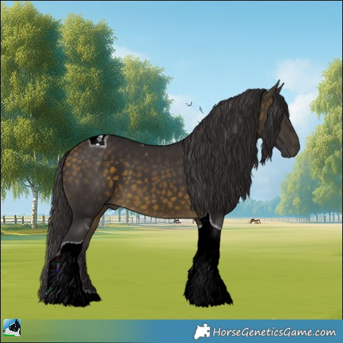 Horse Color:Buckskin Tobiano 