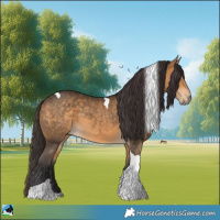 Horse Color:Buckskin Tobiano 