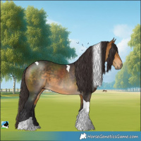 Horse Color:Buckskin Tobiano
