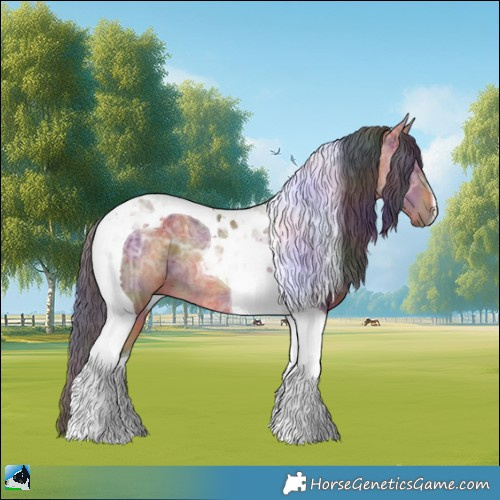 Horse Color:Nacre Bay Ice Tobiano Rabicano 