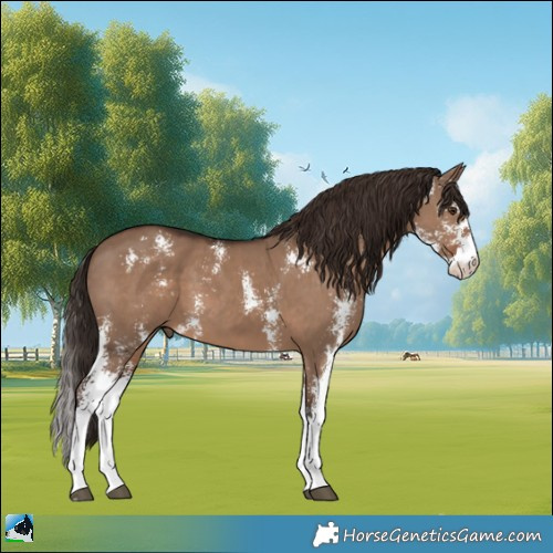 Horse Color:Liver Red Dun Sabino 