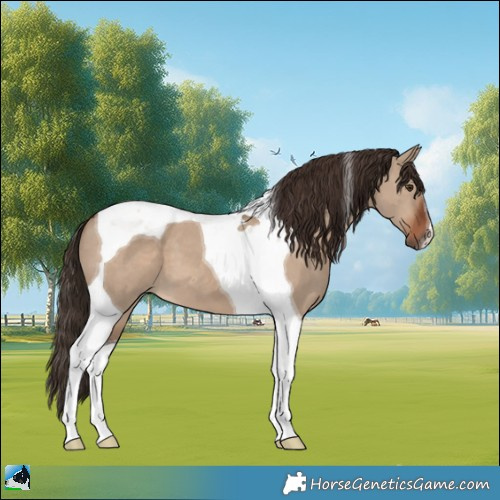 Horse Color:Liver Red Dun Tobiano 