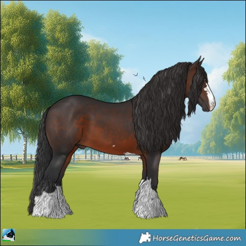 Horse Color:Brown 