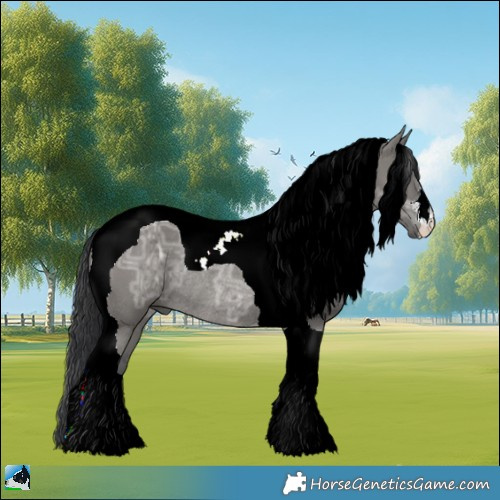 Horse Color:Grullo Ice Tobiano Rabicano 