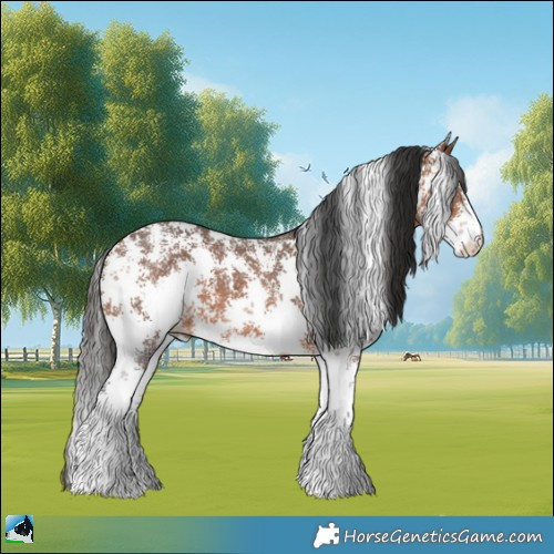 Horse Color:Bay Sabino 