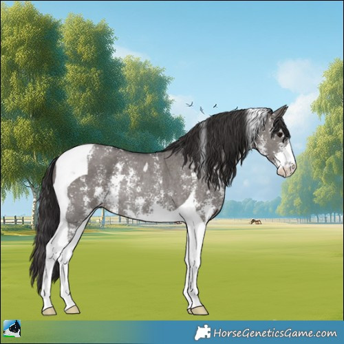 Horse Color:Smoky Grullo Sabino Tobiano Rabicano 