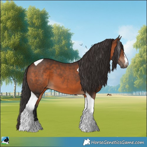 Horse Color:Brown Tobiano 