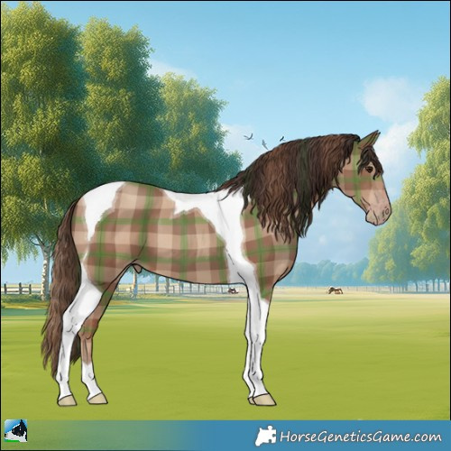 Horse Color:Plaid  Classic Champagne Tobiano 