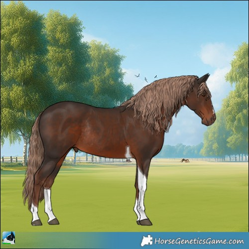 Horse Color:Liver Chestnut Tobiano Rabicano 