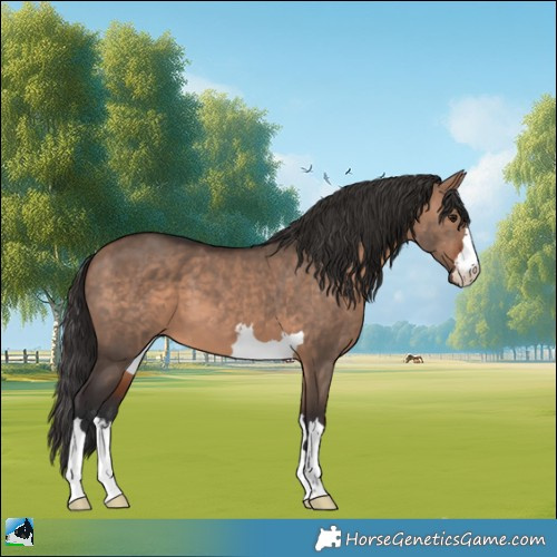 Horse Color:Bay Dun Mushroom 