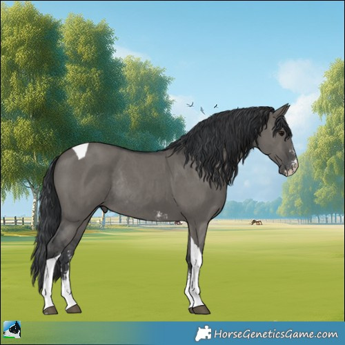 Horse Color:Grullo Mushroom Sabino Tobiano Rabicano 