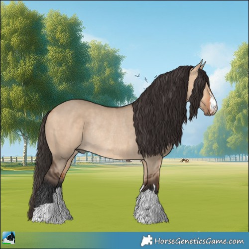 Horse Color:Bay Dun Rabicano 