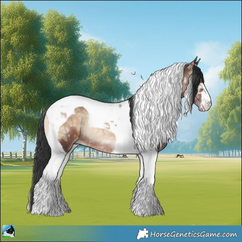 Horse Color:Brown Ice Onyx Tobiano Rabicano 