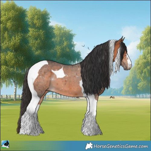 Horse Color:Bay Tobiano 