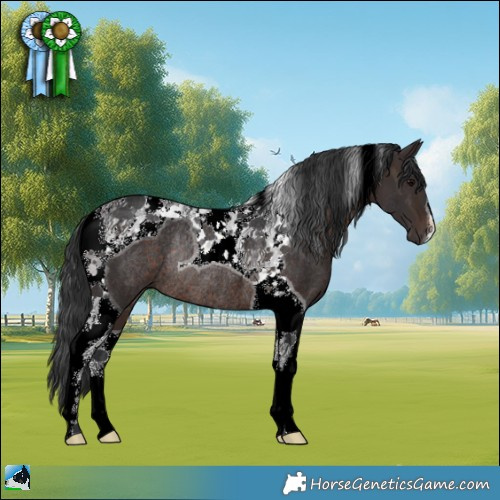 Horse Color:Brown Tobiano Rabicano 