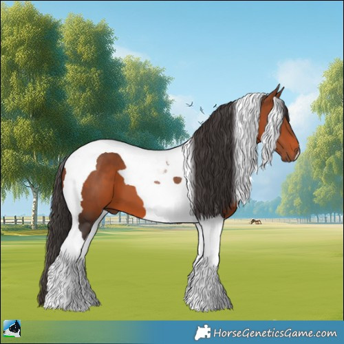 Horse Color:Bay Tobiano 
