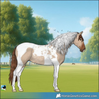 Horse Color:Red Dun Tobiano Rabicano
