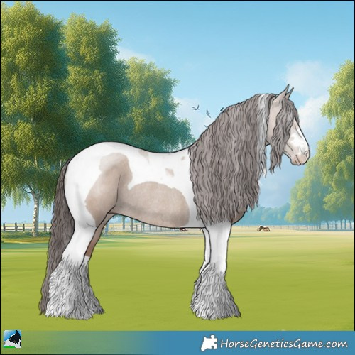 Horse Color:Classic Champagne Dun Mushroom Tobiano Rabicano 