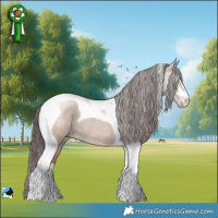 Horse Color:Classic Champagne Dun Mushroom Tobiano Rabicano 
