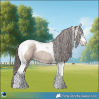 Horse Color:Classic Champagne Dun Mushroom Tobiano Rabicano