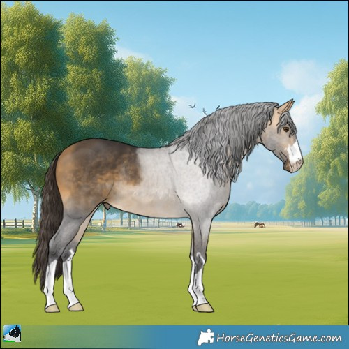 Horse Color:Buckskin Mushroom Rabicano 