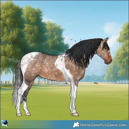 Horse Color:Brown Ice Dun Tobiano 
